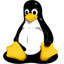 Tiny Core Linux 6.4.1