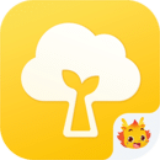 云朵树app
