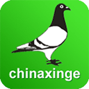 中国信鸽信息网app v20231101安卓版
