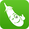 茄子悬赏app v1.4.8安卓版