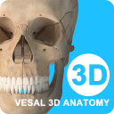 维萨里3D解剖app v6.2.0安卓版