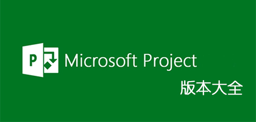 microsoft project 2021/2019/2016/2013/2010/2007系列软件