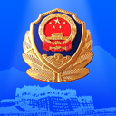 西藏公安政务服务平台app官方版 v1.1.1安卓版