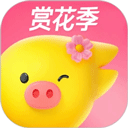 飞猪网机票预订app v9.9.81.104安卓版