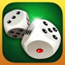 酒吧骰子游戏苹果版 v1.1.2官方版