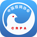中国信鸽协会app v2.21.0安卓版