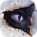 黑猫奇闻社官方最新版本 v0.19.6安卓版