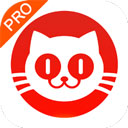 貓眼專業版app