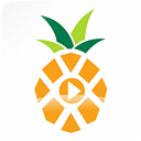 菠萝音乐app v2.2.4安卓版