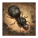 蚂蚁地下王国模拟器 v3.40.0安卓版
