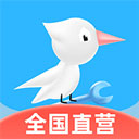 啄木鸟家电维修app v5.0.3安卓版