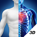 3D人体解剖图谱app v2.0.7安卓版