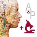 解剖和生理学app v6.2.00