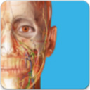 atlas人体解剖学图谱苹果版 v2024.0.05