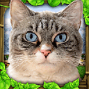 流浪猫模拟器手机版(StrayCatSim) v1官方版