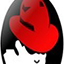 RedHat Linux(红帽子linux) ISO 9.0中文版