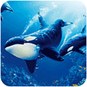 虎鲸模拟器最新版 v1.1.0安卓版
