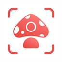 蘑菇识别扫一扫app（Picture Mushroom） v2.9.20安卓版