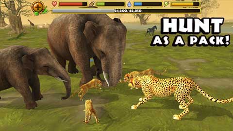 猎豹模拟器游戏