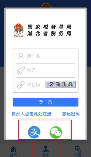 湖北税务app(图1)