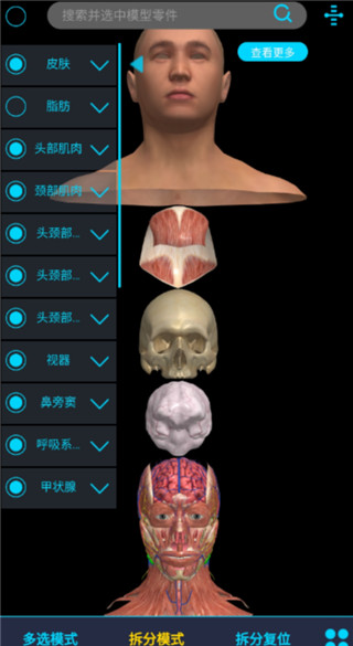 医维度解剖app(图3)