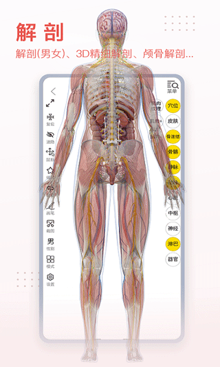 3dbody人体解剖学app官方版3