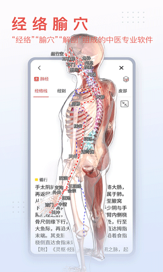 3dbody人体解剖学app官方版5