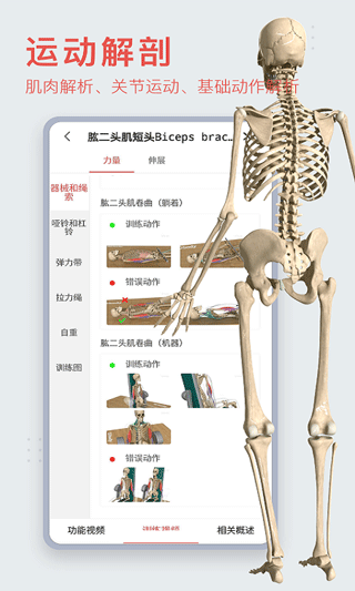 3dbody人体解剖学app官方版2