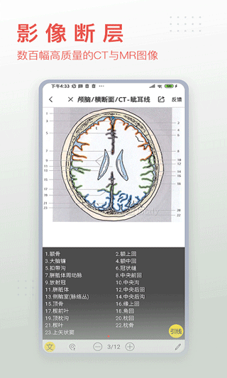 3dbody人体解剖学app官方版1