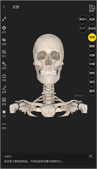 3dbody人体解剖学app官方版(图3)