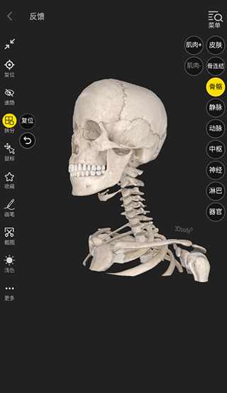 3dbody人体解剖学app官方版(图4)