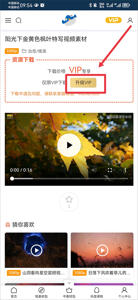 米鱼视频素材网app(图4)