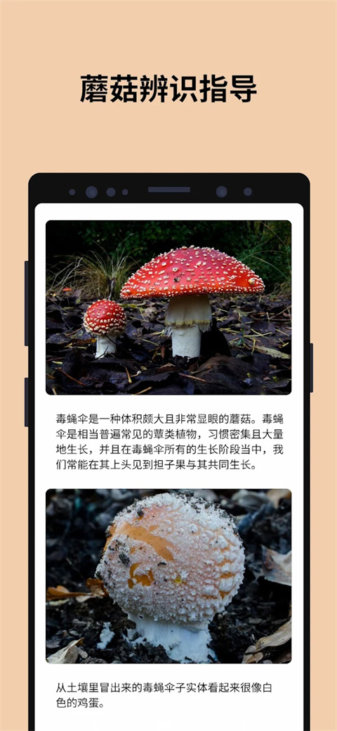 蘑菇识别扫一扫app（Picture4