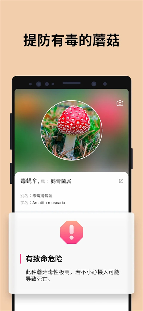 蘑菇识别扫一扫app（Picture5