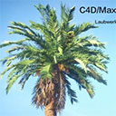 laubwerk plants kit(C4D与3dsMax真实植物场景模型包)