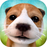 狗狗模拟器游戏(DogSimulator) v2.2.3安卓版