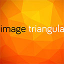 image triangulator官方版