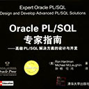 Oracle PL/SQL专家指南:高级PL/SQL解决方案的设计与开发