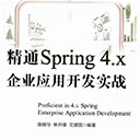 精通spring 4.x企业应用开发实战