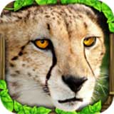 猎豹模拟器游戏(Cheetah Sim)