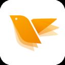 蜂鸟采编app v2.6.2安卓版