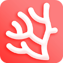 珊瑚文学网app v2.0.0安卓版