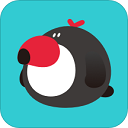 犀鸟公考app v5.8.3安卓版