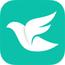 飞鸽互动app v2.8.8安卓版