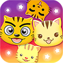 星猫广场app v3.0.7.5安卓版