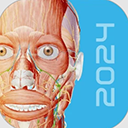 人体解剖3d软件手机版 v1.3安卓版