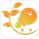 树鱼英语app
