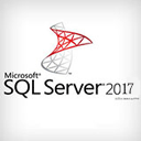 sql server 2017 developer中文版