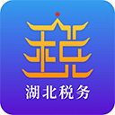 湖北省税务局app
