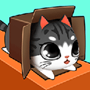 盒子里的猫游戏